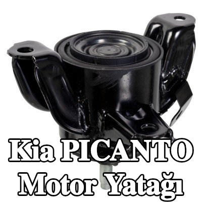 FEBI BILSTEIN Motor yatağı Sağ — Kia Picanto