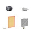 RIDEX PLUS Filtre kiti — Volkswagen Fox (1)