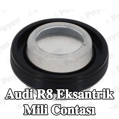 PAYEN Eksantrik mili contası — Audi R8