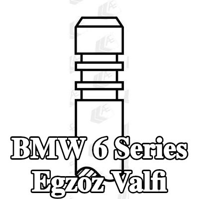 AE Egzoz valfi Krom kaplı valf gövdesi, Stellite kaplı valf yuvası, Sertleştirilmiş valf sapı ucu — 2003 BMW 6 Series