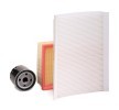 RIDEX Filtre kiti — Peugeot 307 (3)