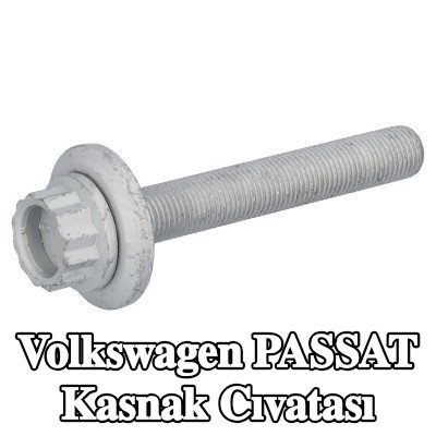 FEBI BILSTEIN Krank mili için kasnak cıvatası — 2013 Volkswagen Passat