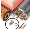 RIDEX Servis kiti — 2002 Ford Galaxy (3)