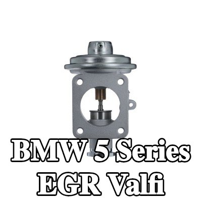 VALEO Contalı/sızdırmazlık elemanlı EGR valfi — 2002 BMW 5 Series