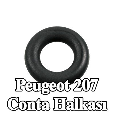 FEBI BILSTEIN Conta halkası — 2012 Peugeot 207