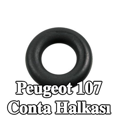 FEBI BILSTEIN Conta halkası — Peugeot 107