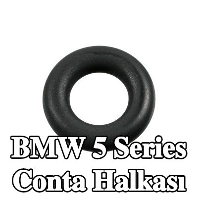 FEBI BILSTEIN Conta halkası — 2000 BMW 5 Series