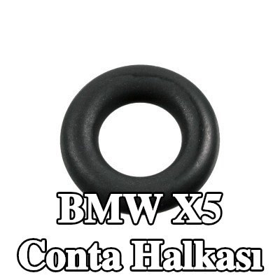 FEBI BILSTEIN Conta halkası — 2008 BMW X5