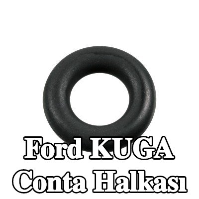FEBI BILSTEIN Conta halkası — Ford Kuga