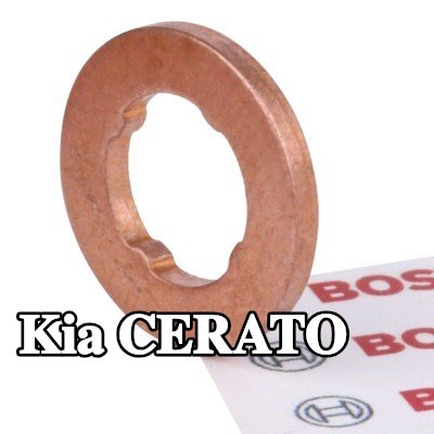 BOSCH حلقة مانعة للتسرب، حامل الفوهة — Kia Cerato