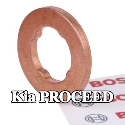 BOSCH حلقة مانعة للتسرب، حامل الفوهة — Kia Proceed
