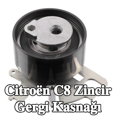 FEBI BILSTEIN Zincir gergi kasnağı — Citroën C8