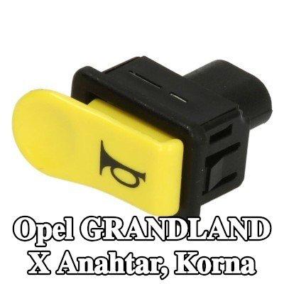 RMS Anahtar, korna — Opel Grandland X