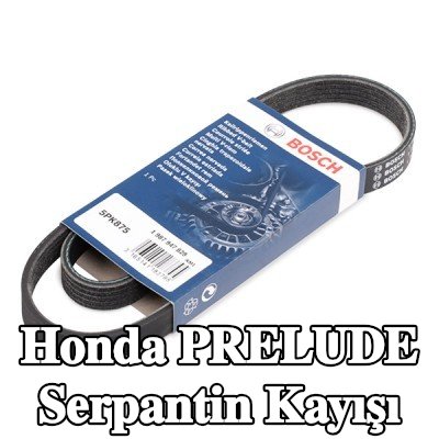 BOSCH Serpantin kayışı 875mm, Number of ribs: 5 — 1990 Honda Prelude