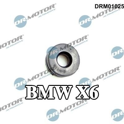 DR.MOTOR AUTOMOTIVE مصد، غطاء المحرك — 2008 BMW X6