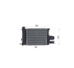 MAHLE Intercooler — Renault Symbol / Thalia (10)