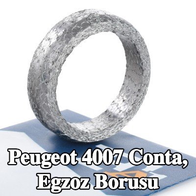 FA1 Conta, egzoz borusu — Peugeot 4007