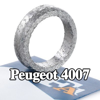 FA1 مانع تسرب، أنبوب العادم — Peugeot 4007