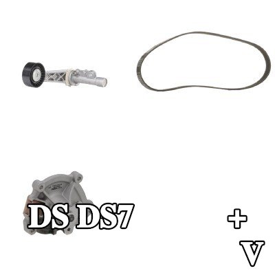 RIDEX PLUS مضخة الماء + مجموعة الحزام المضلع على شكل V — DS Ds7