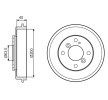 BOSCH Arka aks fren kampanası, 244mm — Ford Ka (5)