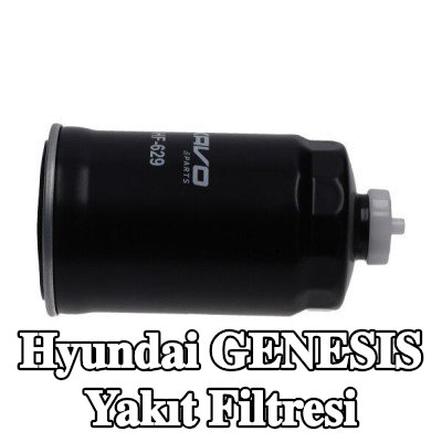KAVO PARTS Yakıt filtresi — Hyundai Genesis