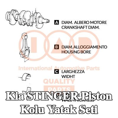 IAP QUALITY PARTS Piston Kolu Yatak Seti — Kia Stinger