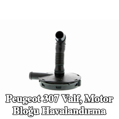 VAICO Valf, motor bloğu havalandırma Silindir Kafası, Orijinal VAICO Kalitesi — Peugeot 307