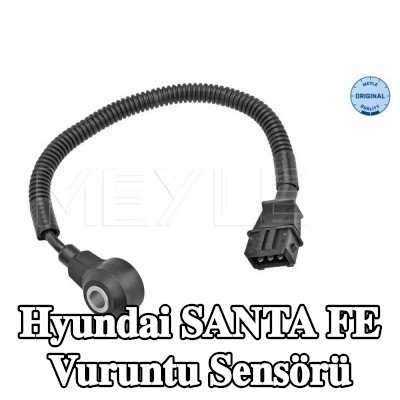 MEYLE Vuruntu Sensörü — 2002 Hyundai Santa Fe