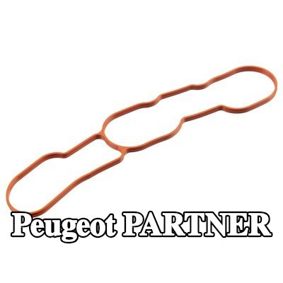 FEBI BILSTEIN حشية مشعب السحب FPM (مطاط الفلوريد) — Peugeot Partner