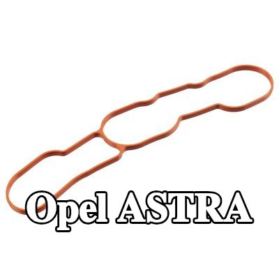 FEBI BILSTEIN حشية مشعب السحب FPM (مطاط الفلوريد) — Opel Astra