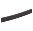 BOSCH Serpantin kayışı 1640mm, Number of ribs: 6 — Citroën Relay (3)
