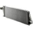 MAHLE Intercooler — Volkswagen Lt (3)