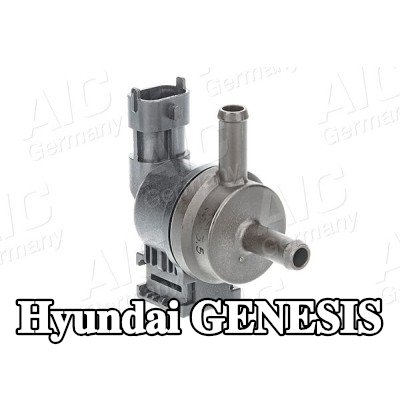 AIC صمام، مرشح الكربون المنشط — Hyundai Genesis