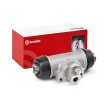 BREMBO Tekerlek Fren Silindiri Temel — Nissan Cabstar (1)