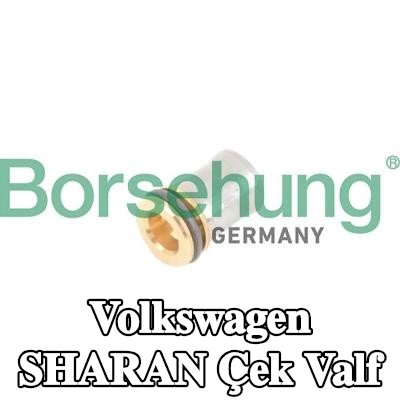 Borsehung Çek valf — Volkswagen Sharan