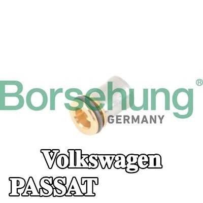Borsehung صمام عدم الرجوع — Volkswagen Passat