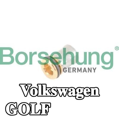 Borsehung صمام عدم الرجوع — Volkswagen Golf