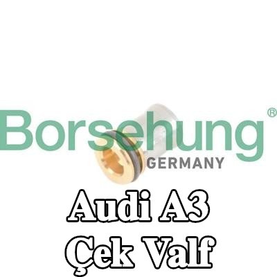 Borsehung Çek valf — Audi A3
