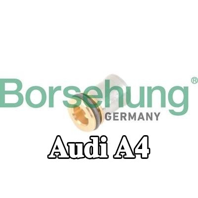 Borsehung صمام عدم الرجوع — Audi A4