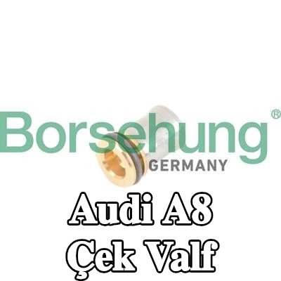 Borsehung Çek valf — Audi A8