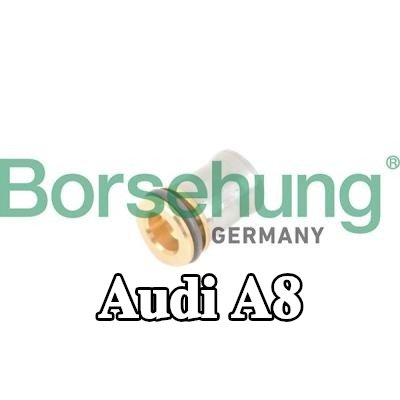 Borsehung صمام عدم الرجوع — Audi A8