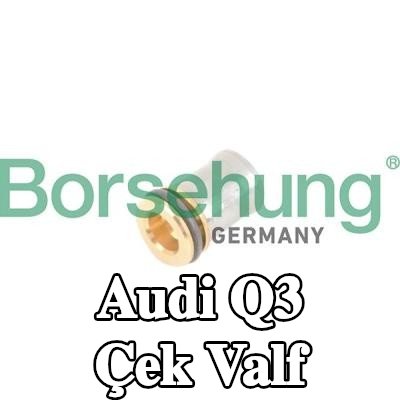 Borsehung Çek valf — Audi Q3