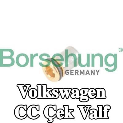 Borsehung Çek valf — Volkswagen Cc