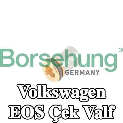 Borsehung Çek valf — Volkswagen Eos