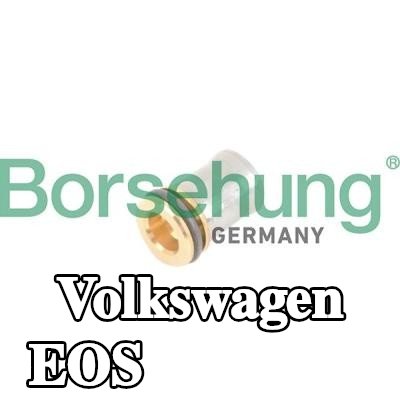 Borsehung صمام عدم الرجوع — Volkswagen Eos