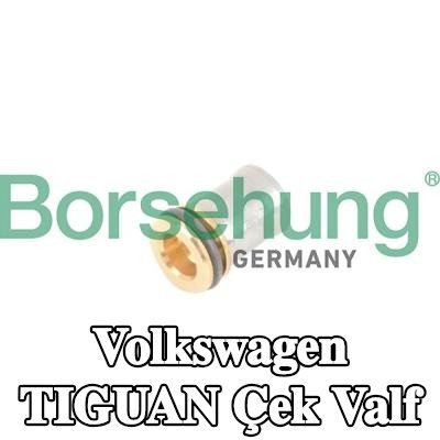 Borsehung Çek valf — Volkswagen Tiguan