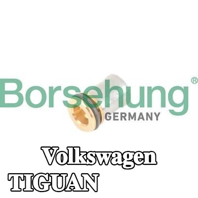 Borsehung صمام عدم الرجوع — Volkswagen Tiguan