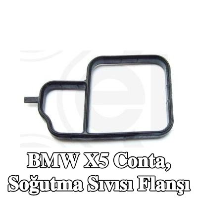 ELRING Conta, soğutma suyu flanşı Karter, ön taraf — 2008 BMW X5