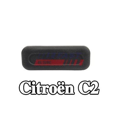 FAST مقبض الباب الخلفي — Citroën C2