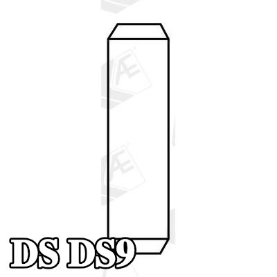 AE أدلة الصمامات — DS Ds9